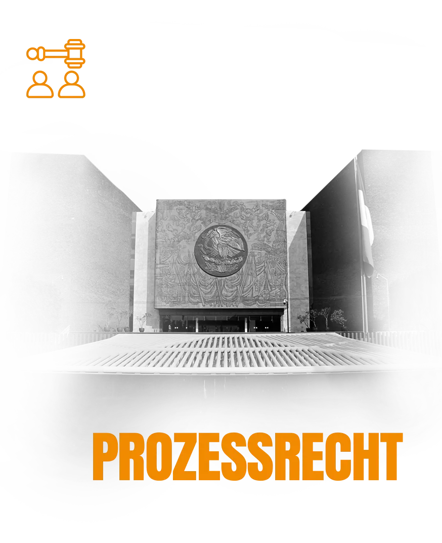 Prozessführung