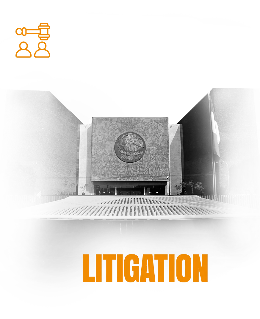 Litigation