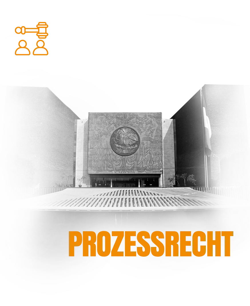 Prozessführung