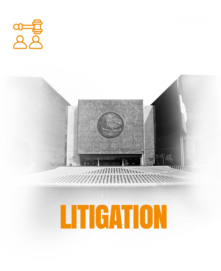 Litigation