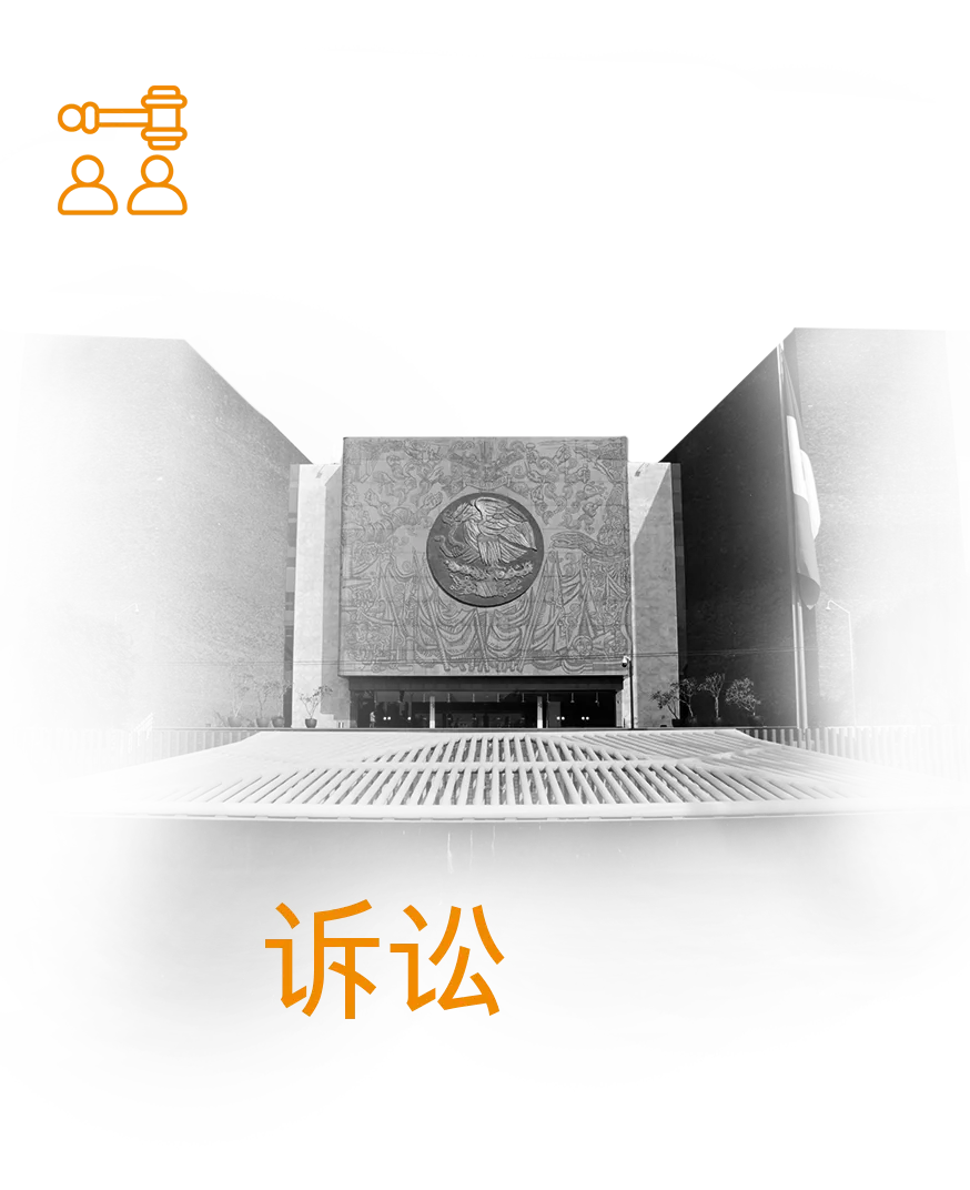 诉讼