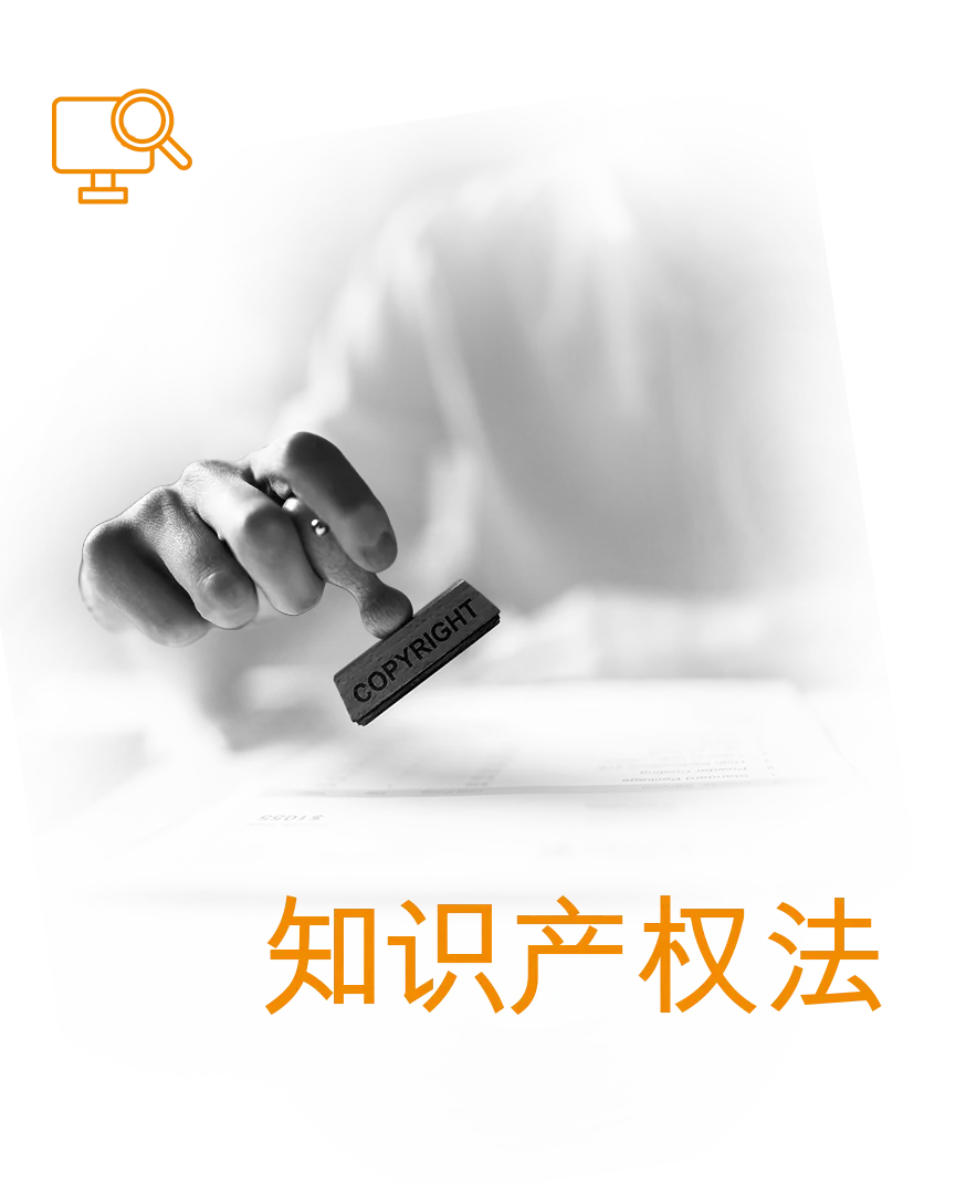 知识产权
