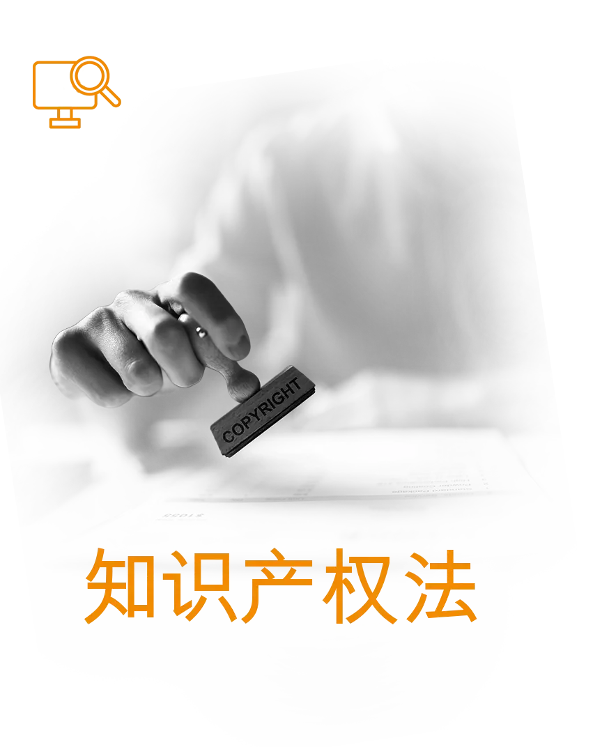 知识产权
